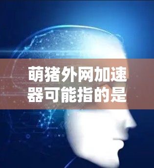 萌猪外网加速器可能指的是一种用于加速外网连接的加速工具，比如加速通、多端加速等。这些工具通常可以帮助用户在使用外网时，提升数据传输的速率，减少延迟和卡顿