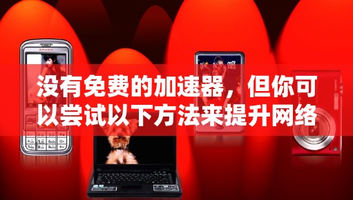 没有免费的加速器，但你可以尝试以下方法来提升网络速度