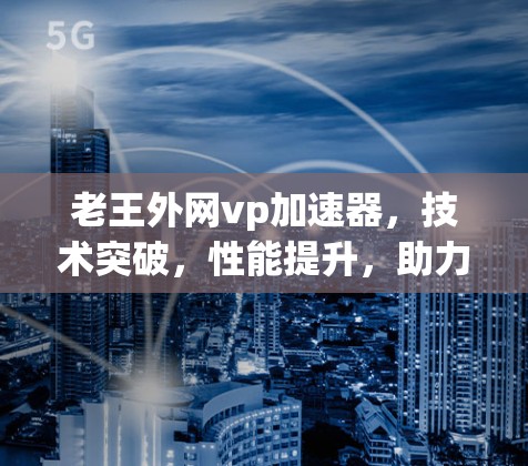 老王外网vp加速器,技术突破,性能提升,助力企业高效运营