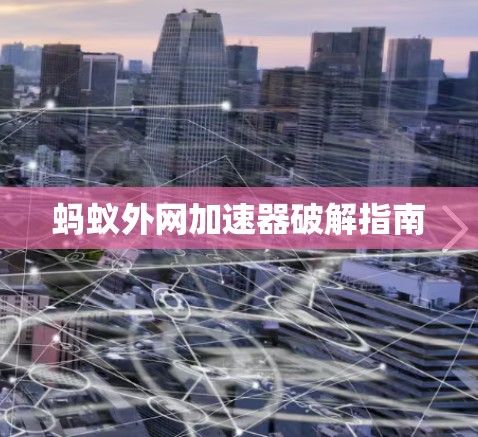 蚂蚁外网加速器破解指南