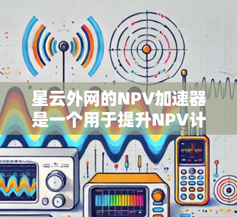 星云外网的NPV加速器是一个用于提升NPV计算效率的工具，可能包括特定的软件或模块。以下是对该工具的详细分析