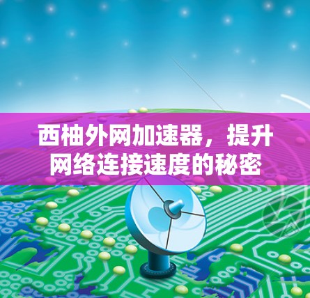 西柚外网加速器,提升网络连接速度的秘密