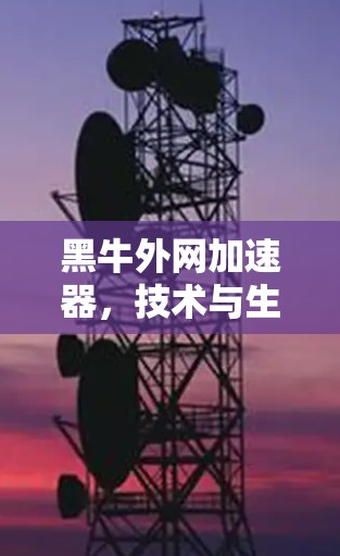 黑牛外网加速器,技术与生活的完美结合