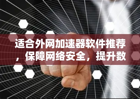 适合外网加速器软件推荐，保障网络安全，提升数据传输效率