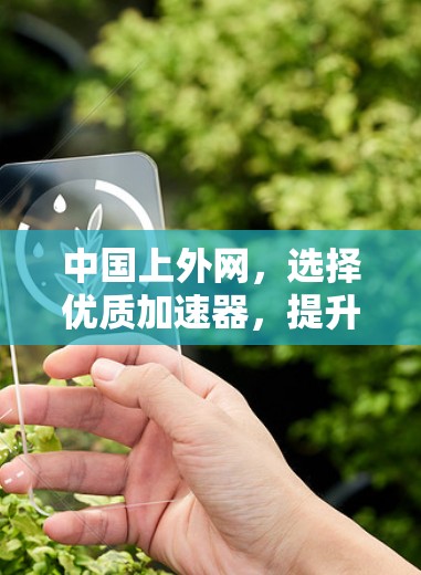 中国上外网，选择优质加速器，提升网络体验
