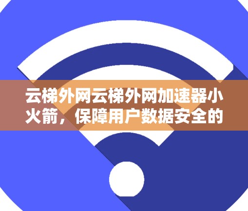 云梯外网云梯外网加速器小火箭，保障用户数据安全的未来解决方案