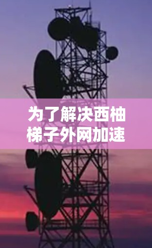 为了解决西柚梯子外网加速器的问题，我们可以从以下几个方面进行分析和创新