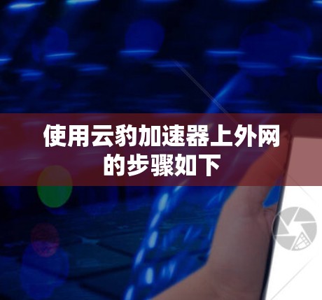 使用云豹加速器上外网的步骤如下 使用云豹加速器上外网的步骤如下