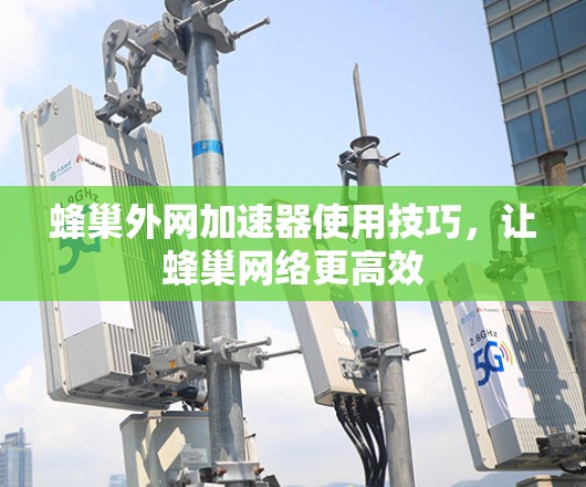 蜂巢外网加速器使用技巧,让蜂巢网络更高效