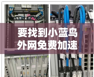 要找到小蓝鸟外网免费加速器，可以按照以下步骤进行