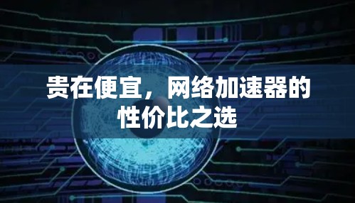 贵在便宜,网络加速器的性价比之选 贵在便宜,网络加速器的性价比之选