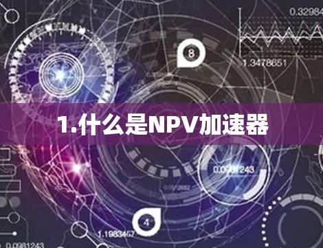 1.什么是NPV加速器 1.什么是NPV加速器