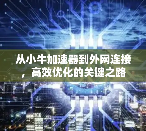 从小牛加速器到外网连接,高效优化的关键之路