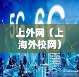 上外网(上海外校网)的加速器可以帮助您更快地访问上外网的资源,但需要注意以下几点