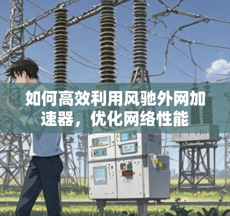 如何高效利用风驰外网加速器，优化网络性能