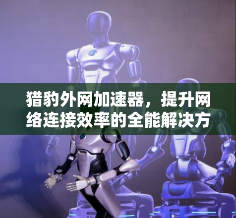 猎豹外网加速器，提升网络连接效率的全能解决方案
