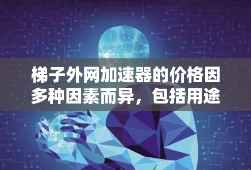 梯子外网加速器的价格因多种因素而异，包括用途、制造商、地区、功能需求和售后服务。以下是一些综合考虑的因素和建议