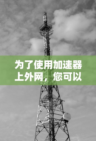为了使用加速器上外网,您可以按照以下步骤操作