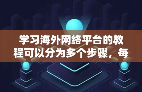 学习海外网络平台的教程可以分为多个步骤,每个步骤涉及不同的设置项和功能。以下是一个系统化的学习路径