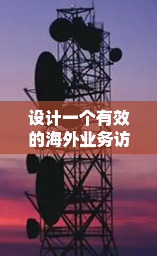 设计一个有效的海外业务访问方案需要系统性和科学性，以下是详细的步骤和实施建议
