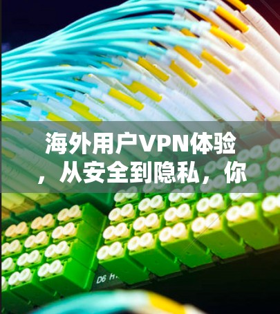 海外用户VPN体验，从安全到隐私，你的选择在哪里？