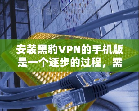 安装黑豹VPN的手机版是一个逐步的过程,需要遵循以下步骤 安装黑豹VPN的手机版是一个逐步的过程,需要遵循以下步骤