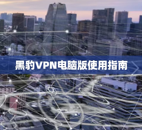 黑豹VPN电脑版使用指南