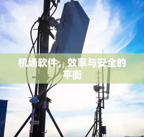 机场软件,效率与安全的平衡