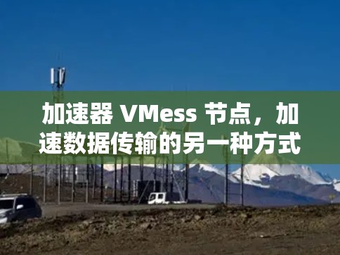 加速器 VMess 节点，加速数据传输的另一种方式