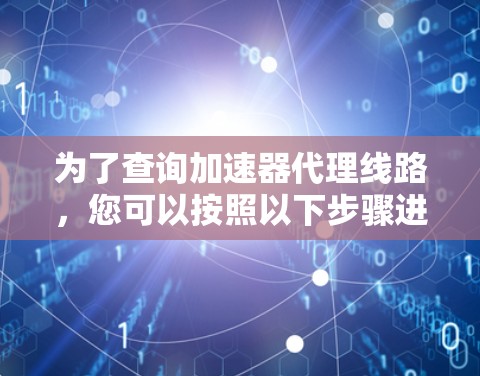 为了查询加速器代理线路,您可以按照以下步骤进行