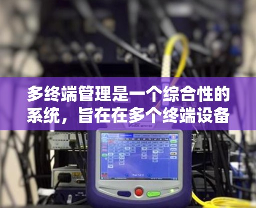 多终端管理是一个综合性的系统，旨在在多个终端设备上运行应用程序和管理资源，以提高效率和用户体验。以下是关于多终端管理的详细分析