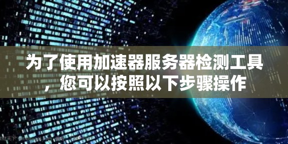 为了使用加速器服务器检测工具，您可以按照以下步骤操作