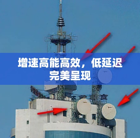 增速高能高效，低延迟完美呈现