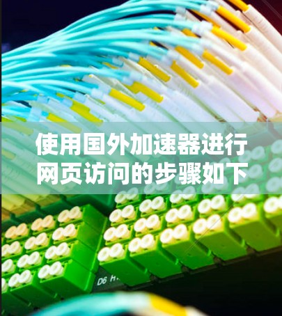使用国外加速器进行网页访问的步骤如下