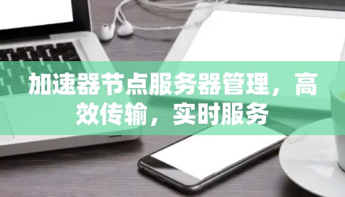 加速器节点服务器管理,高效传输,实时服务