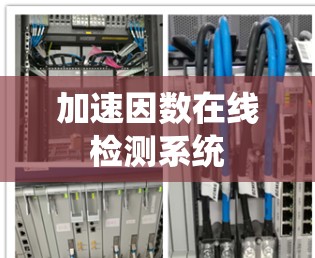 加速因数在线检测系统